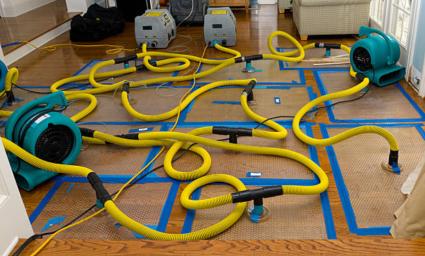 Professional Flood Damage Restoration technician working in Hoodsport, WA